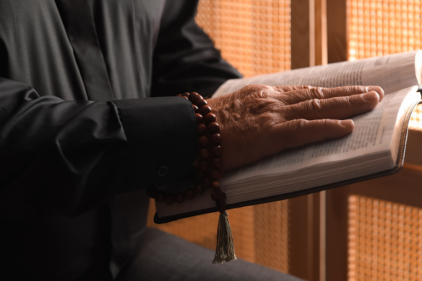 The mission of the priest as a spiritual father is centered on guiding souls toward eternity. Jose Eduardo De Oliveira e Silva emphasizes the depth of this pastoral responsibility.