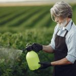 Trabalhador rural usa um pulverizador manual em uma plantação verde.