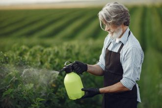 Trabalhador rural usa um pulverizador manual em uma plantação verde.