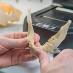 Técnico aprimora um modelo odontológico impresso em 3D em um laboratório.